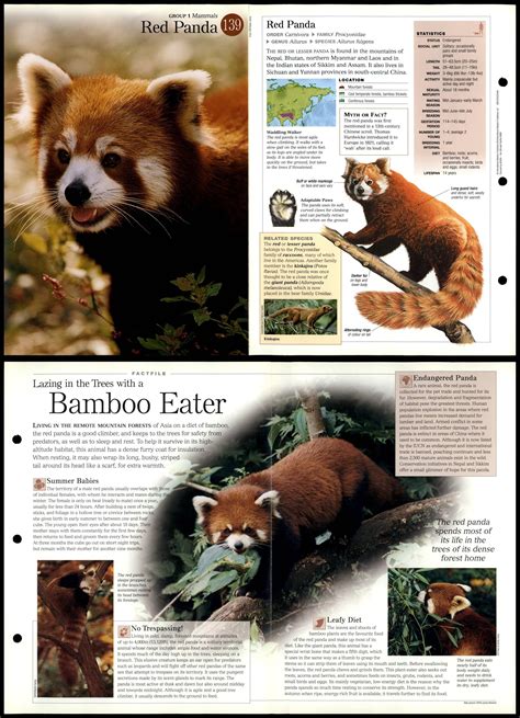 Red Panda 139 Mammals Discovering Wildlife Fact File Fold Out Card