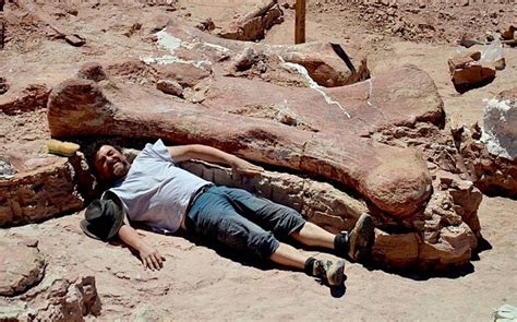 Worlds Largest Dinosaur Discovered In Argentina