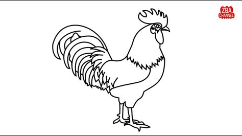 Belajar Menggambar Dan Mewarnai Ayam Jantan Dengan Mudah Youtube