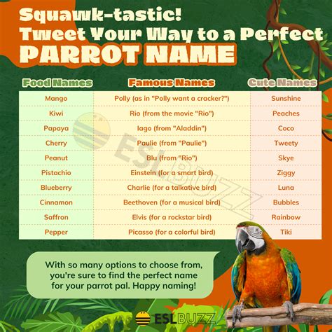 Parrot Names Unique And Adorable Names For Your Feathered Friend Eslbuzz