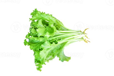 Green Lettuce Leaves Salad Isolated 10870455 Png