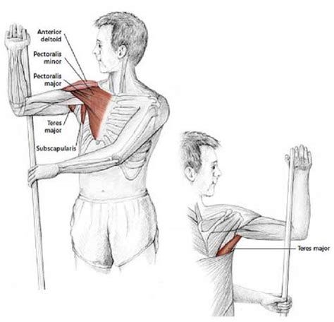 Easy Stretches Release Tension Neck Shoulders Shoulder