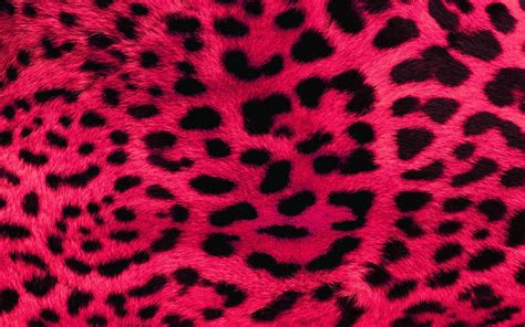 Pink Leopard Print Wallpapers Wallpaper Cave