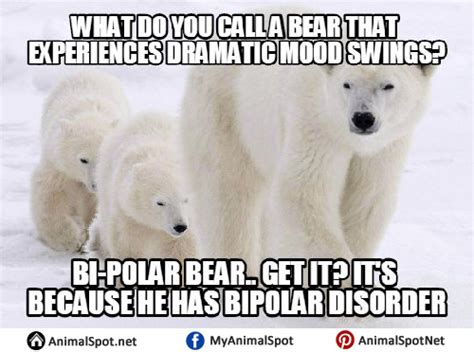 Polar Bear Memes