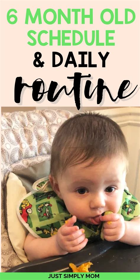 6 Month Old Schedule Establishing Babys Routine Baby Routine Baby