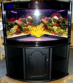 98 gallon corner aquarium 90 seamless curve glass Quarter cylinder