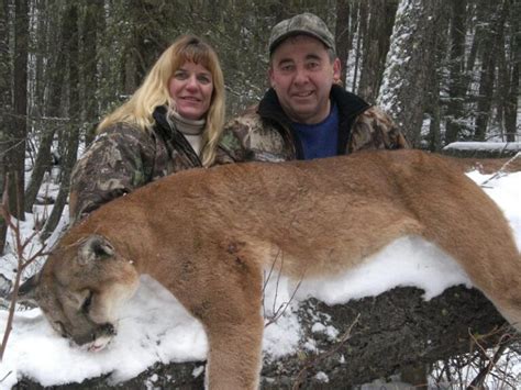 Mountain Lion Hunting In Mountains Of British Columbia Total Outdoor