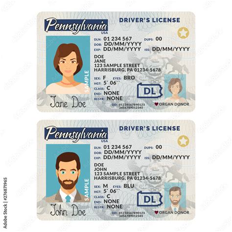 Vector Template Of Sample Driver License Plastic Card For Usa