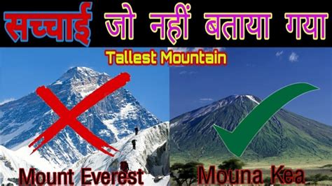 Worlds Tallest Mountain 10 Fantabulous Facts About Oceans