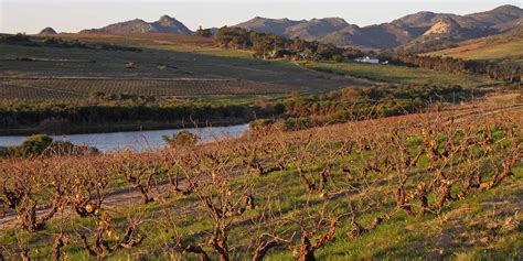 Cape Town Cape Winelands South Africa Great Wine Capitals