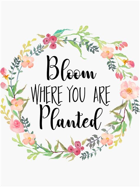 Bloom Where You Are Planted Sticker For Sale By Anniebananie13