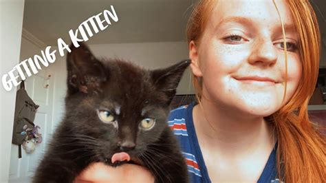 Getting A Kitten ︎ Youtube