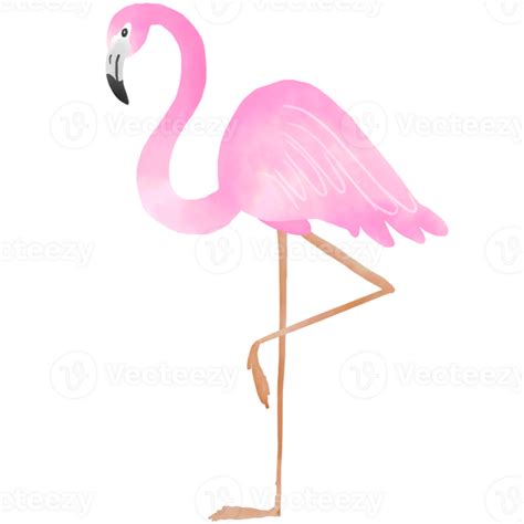 Pink Flamingo Bird 30348074 Png