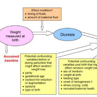Variables also determine the cause and effects in research. Conceptual framework includes potential confounding ...