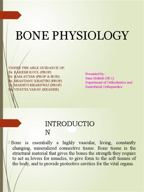 Bone Biology Pdf Bone Osteoblast
