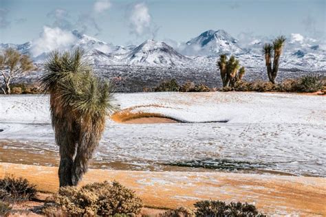 Arizona Desert Snowfall Takes Internet By Storm With Gorgeous Pictures