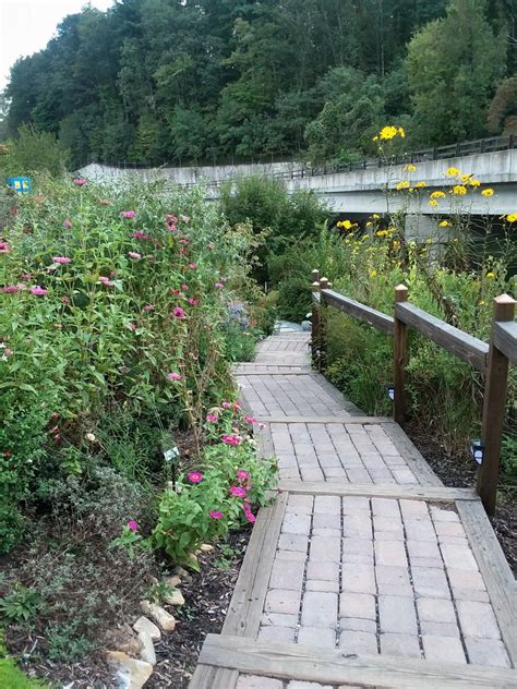 The rhine river siren said to lure. Flowering Bridge in Lake Lure | Lake lure, Lake, Adventure
