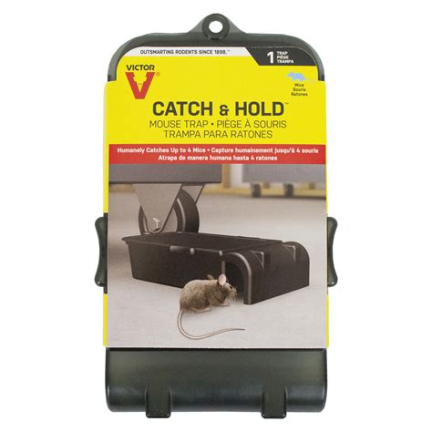 Victor Catch And Hold Mouse Trap M333 Viceroy Distributors