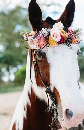 Horse With Floral Crown Horses Cute Horses Animals Beautiful