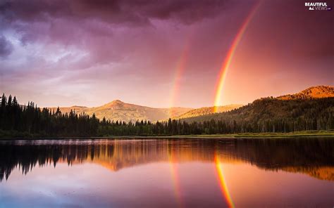Lake Great Rainbows Forest Forest Mountains Beautiful Views