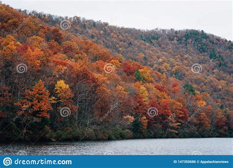 Autumn Color At Sherando Lake Near The Blue Ridge Parkway In George