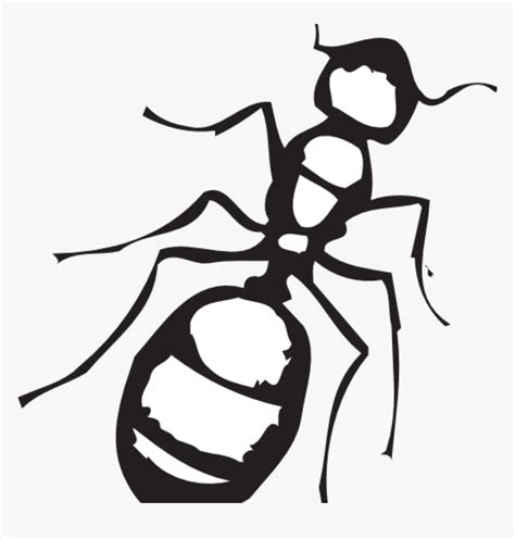 Ant Clipart Black And White Sketch Of An Ant Clip Art Transparent Png