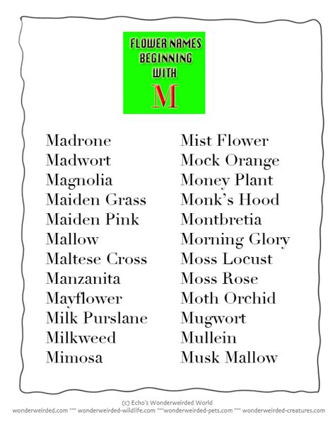 Flower Beginning With M Flower Names A Z Dictionary Of Flowers With Our Free Printable Flower