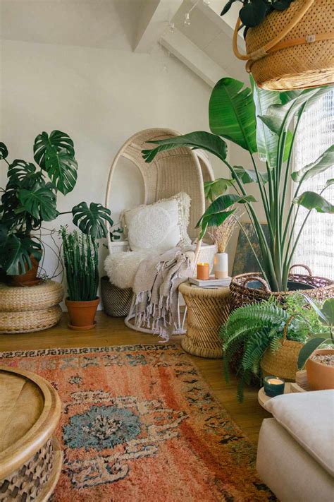 11 Best Large Houseplants To Add To Your Home