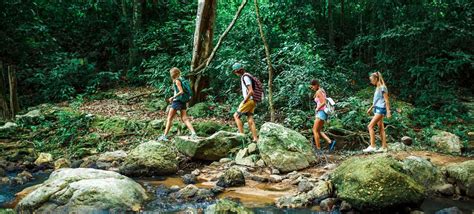 Amazon Jungle Survival Adventure Boekme Adventures