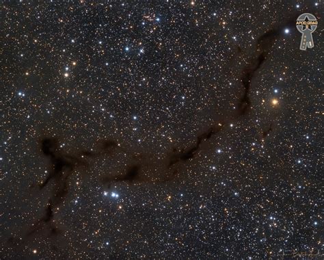 Barnard 150 Dark Nebula In Cepheus Apod Grag