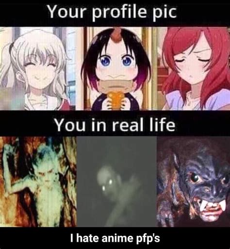 I Hate Anime Pfps I Hate Anime Pfps Ifunny
