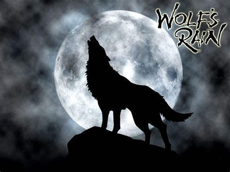 Wolf Howling At The Moon Wallpapers Wallpaper Cave