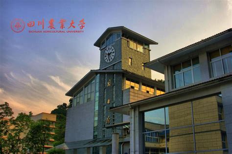 We would like to show you a description here but the site won't allow us. 四川农业大学网络教育专升本好考吗?都有哪些专业?