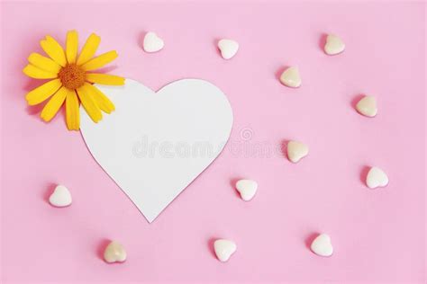 White Heart And Yellow Daisy Flowers On A Pink Background Stock Photo