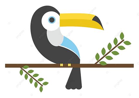 Tucan Clipart Vector Tucan Bird Illustration Background Tropical