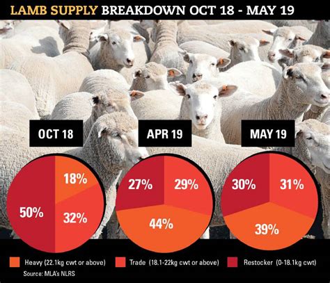 Lamb And Mutton Prices Showing No Loss Of Pace Stock Journal Sa