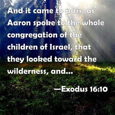 Exodus 1610 And It Came To Pass As Aaron Spoke To The Whole