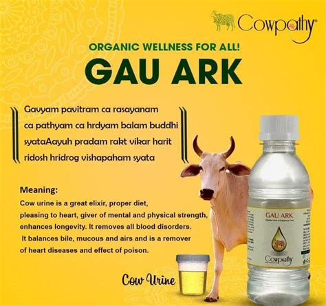 Distilled Cow Urine Ark 500ml Cowpathy