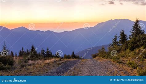 Panorama Of Sunset In Carpathian Mountains With A Gravel Road In Stock