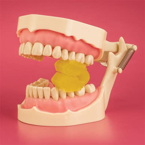 Split Type Mouth Props Practicon Dental Supplies