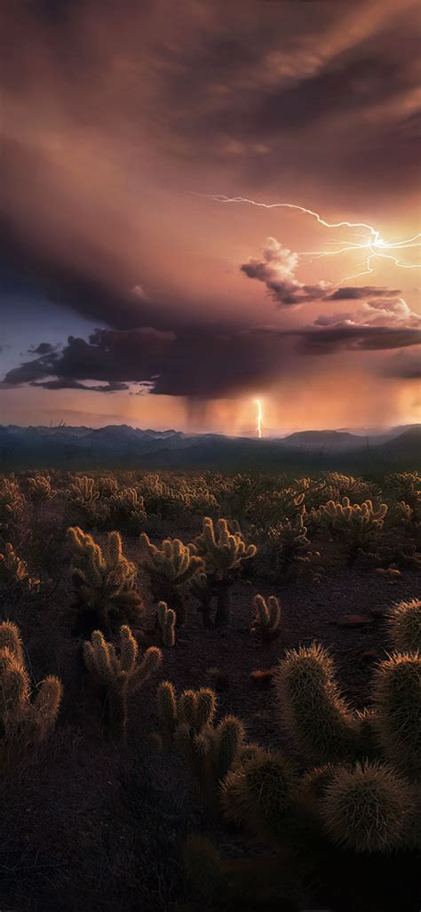 1125x2436 Storm At Cactus Desert Iphone Xsiphone 10iphone X Wallpaper