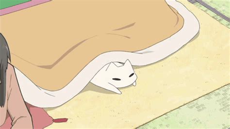 anime cats wiki anime amino