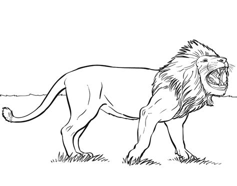 Realistic Lion Roaring Coloring Pages