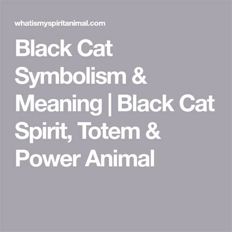 Black Cat Symbolism And Meaning Black Cat Spirit Totem And Power Animal