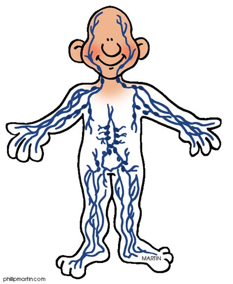 Body Animated Cartoon Body Clipart Best