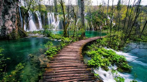 Travel Wood Path National Park Plitvice Lakes National Park Stream
