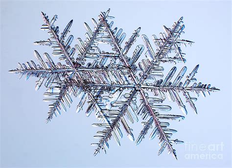 Snowflakes Photograph By Kenneth Libbrechtscience Photo Library Fine