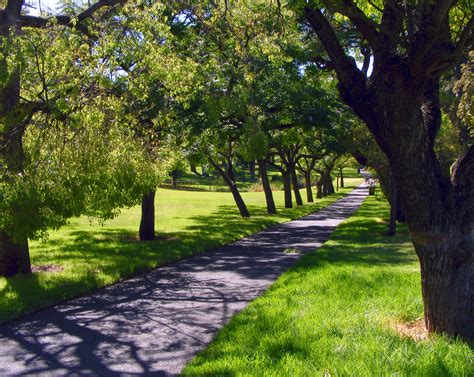 File:Rymill park path.jpg