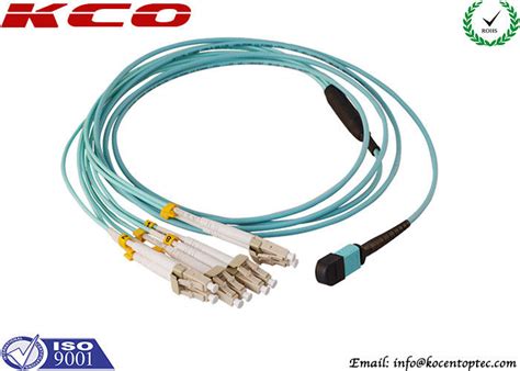 They were created to ensure regional cooperation in transportation planning. Single Mode MPO MTP Patch Cord 8 Cores LC 10G OM3 Patch Cord