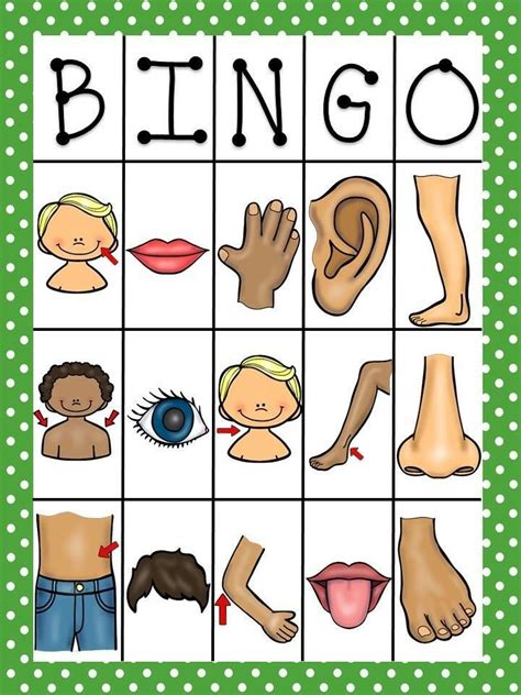 Bingo Body Partes Del Cuerpo Preescolar Cuerpo Humano Para Niños El